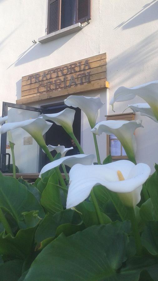 Trattoria Ceriati Room & Breakfast Salsomaggiore Terme Zewnętrze zdjęcie